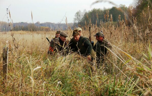 2010 Polowanie zbiorowe – Werszki-Łozy-Zapowiednik